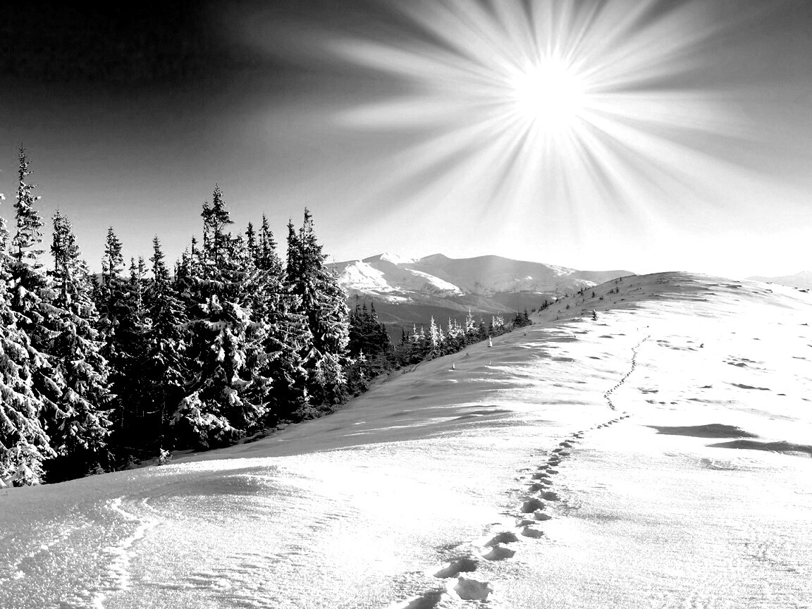 Холодные лучи зимнего солнца обои