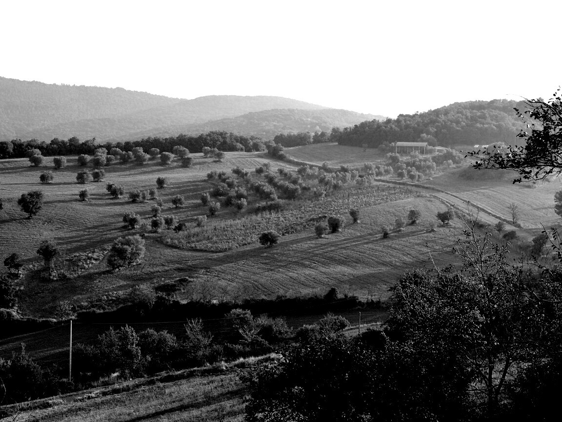 Ферма в долине обои