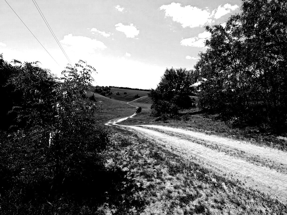 Просёлочная дорога обои