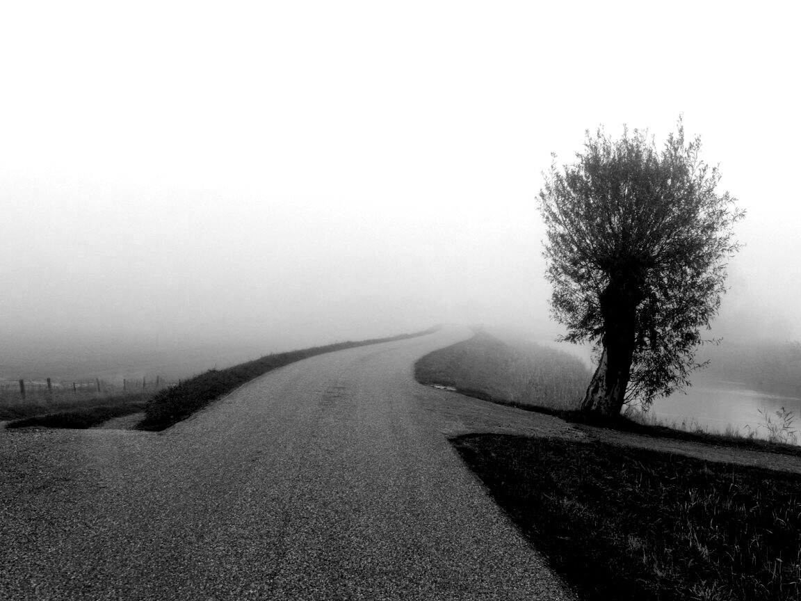 Дорога растворяется в тумане обои