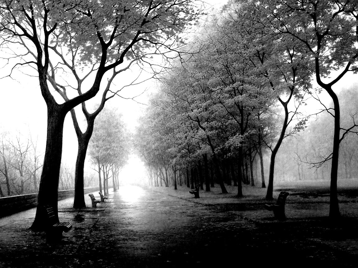 Дорога в осень обои