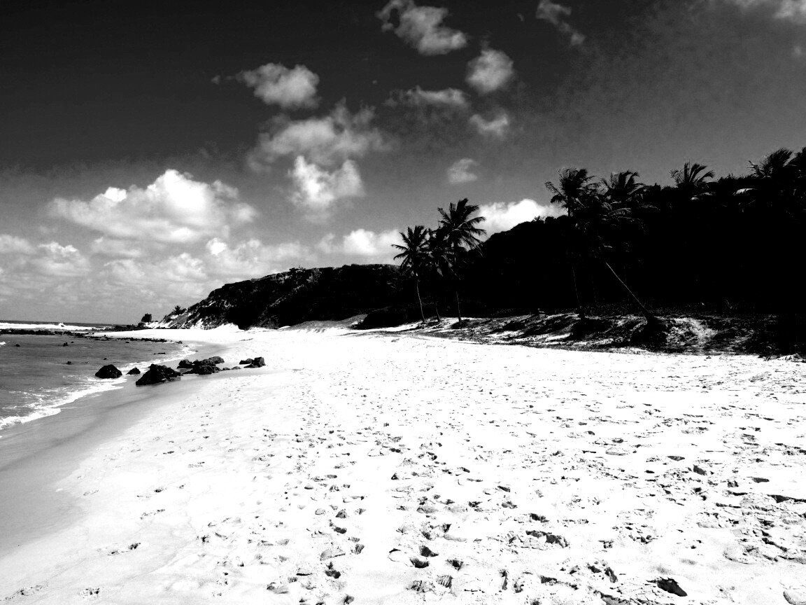 Туры в Бразилию в Лондрину обои