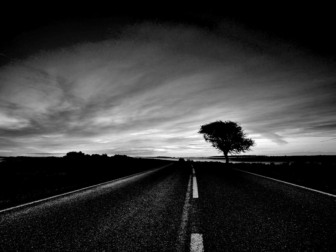 Дорога обои