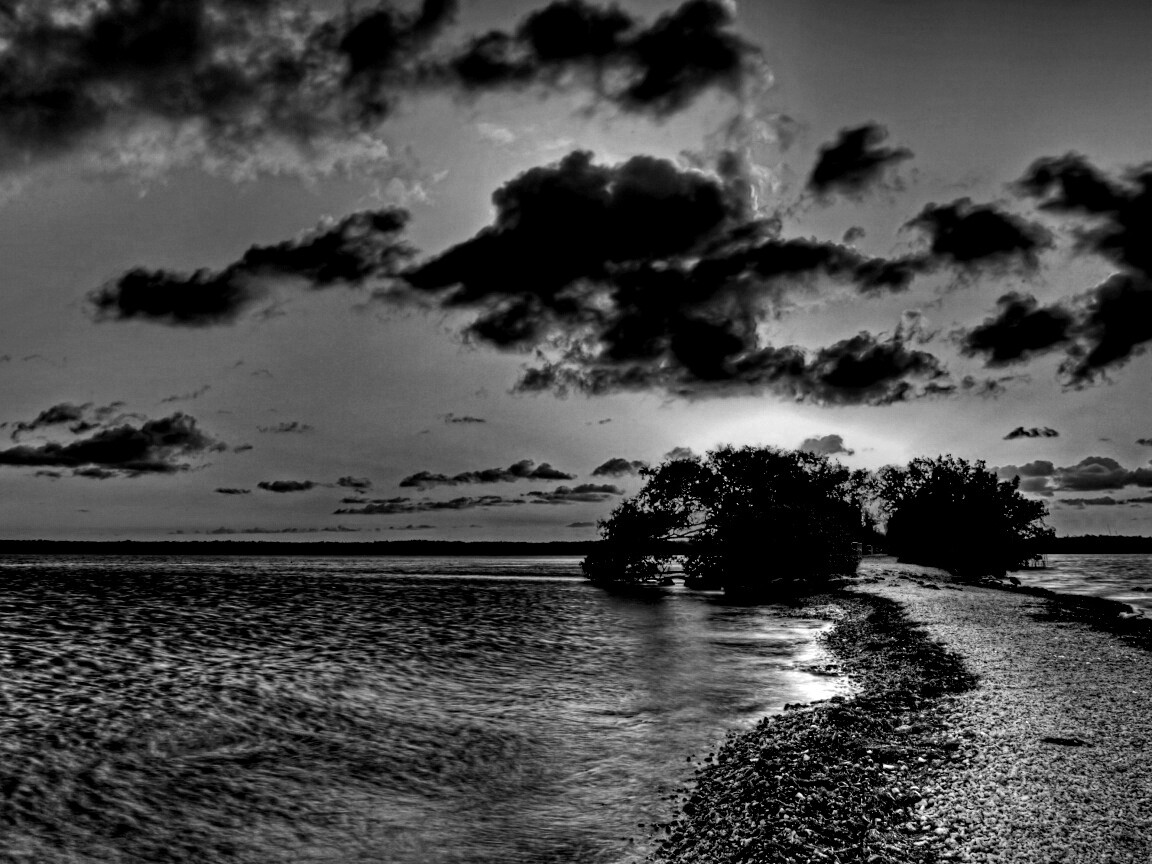 Побережье на закате обои