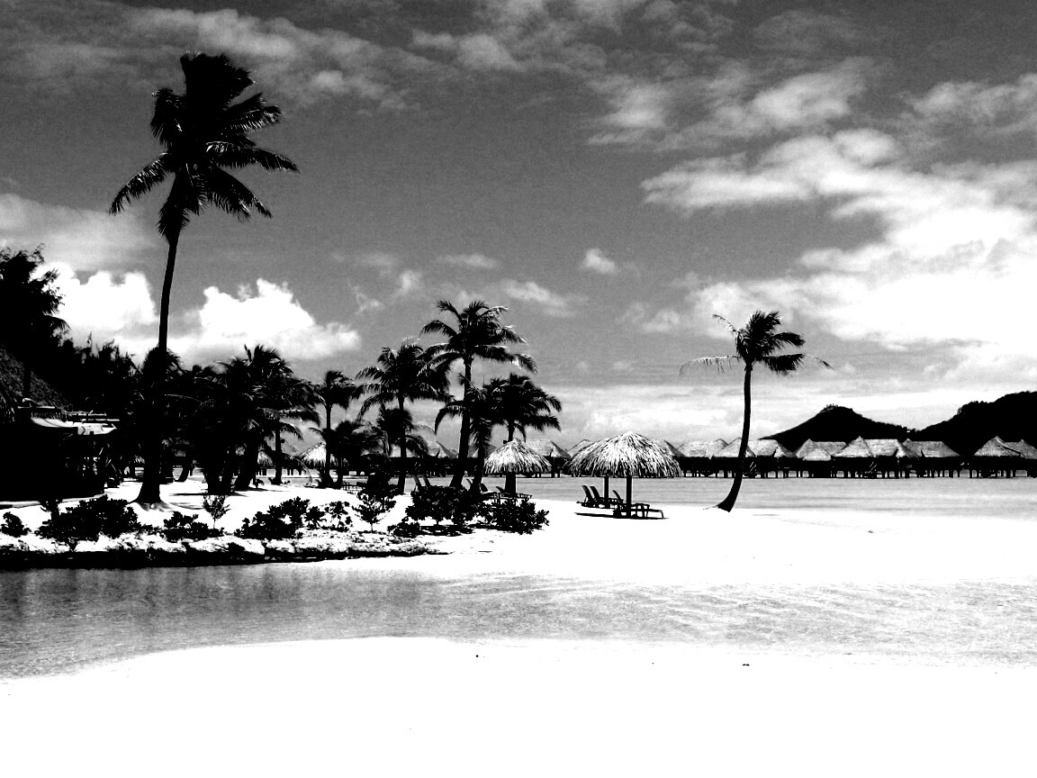 Побережье Бора-бора обои