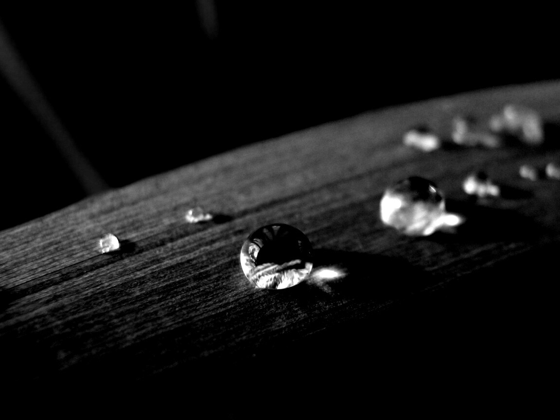 Капли росы на листе обои