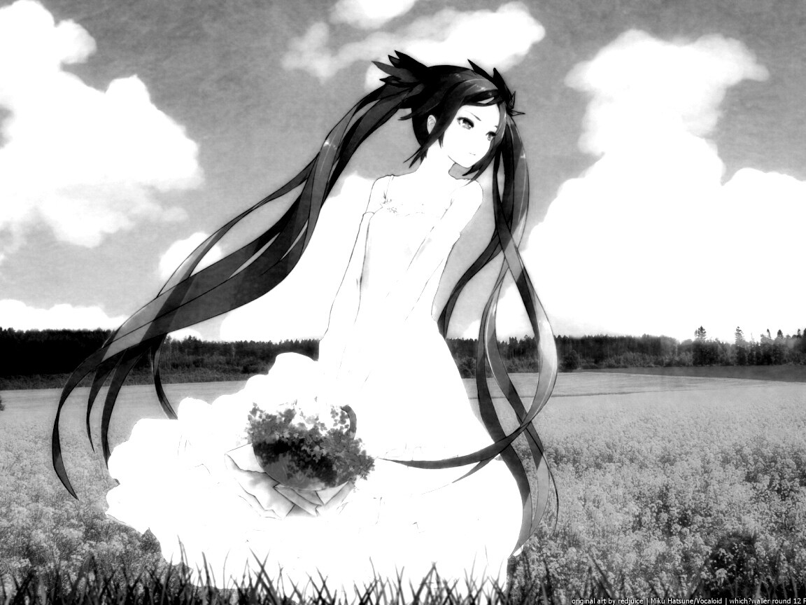 Хатсуне в поле обои