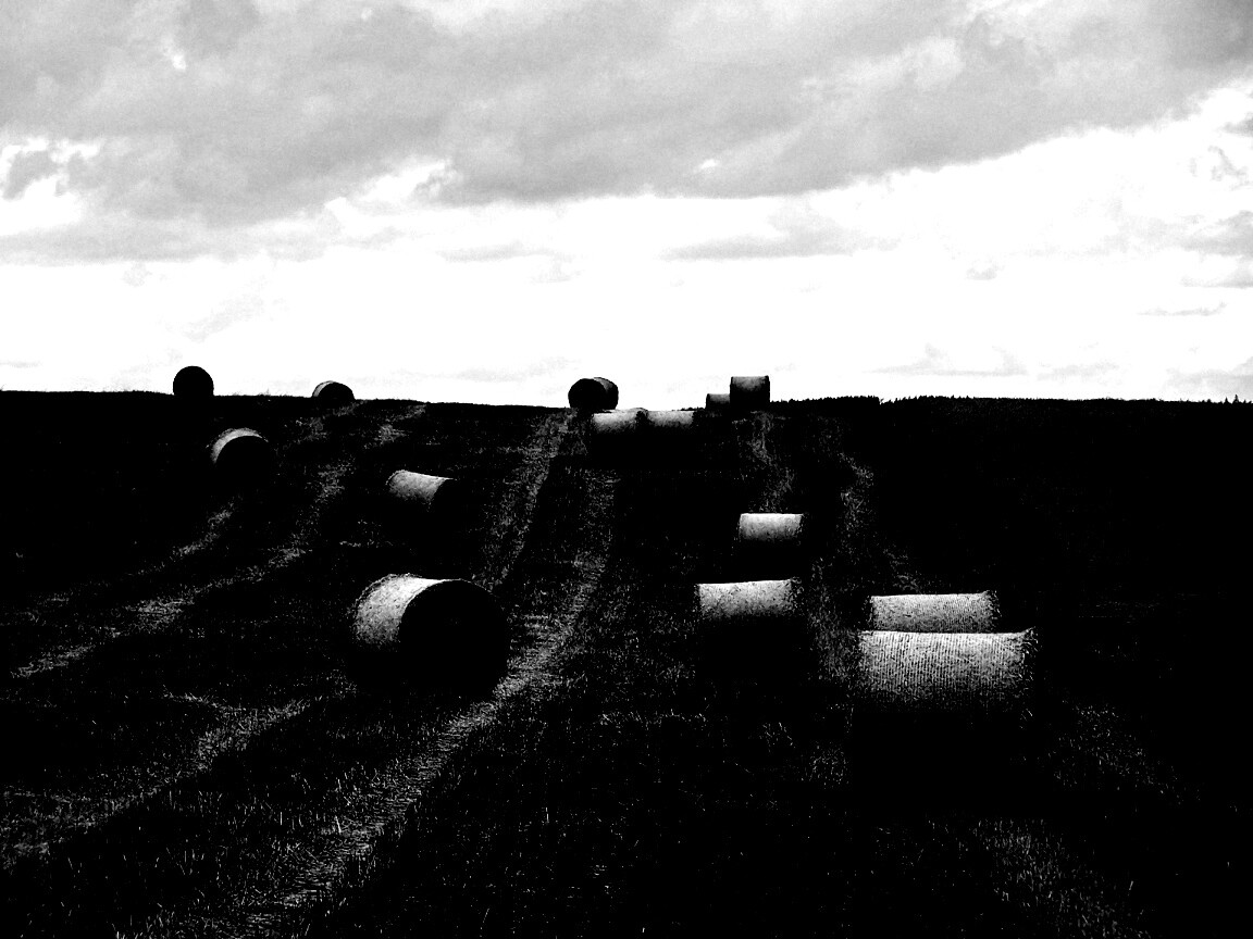 Уборка сена с поля обои