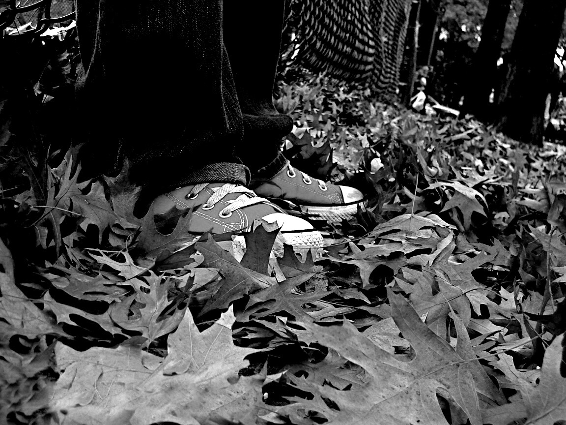 Оранжевые кеды обои