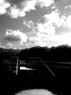 Мостик обои