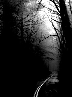 В туман обои