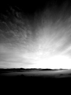 Утренний туман обои