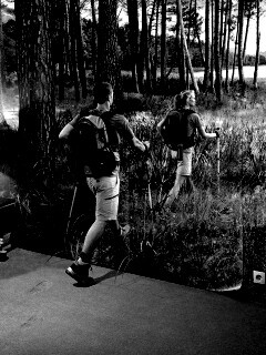 Реклама фотообоев обои