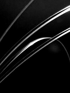 Четыре травинки обои