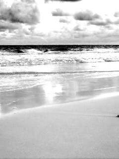 Тропический берег обои