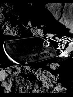 Жетон Сталкер обои