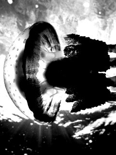 Коричневая медуза обои