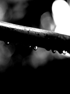 Капли на стебле обои