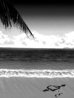 Любовь на океанском берегу обои