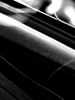 Желто-зеленые травинки обои