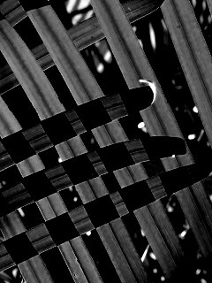 Пересекающиеся травинки обои