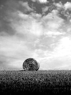 СОломеннынй рулон обои