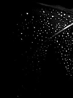 Капли на черном пере обои