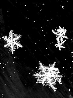 Снежинки обои