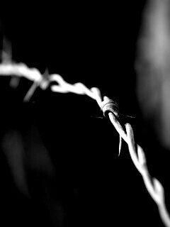 Колючая проволока обои