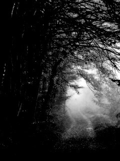 Дорожка заваленная листьями обои