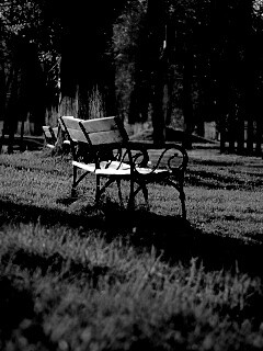 Скаймейка в осеннем парке обои