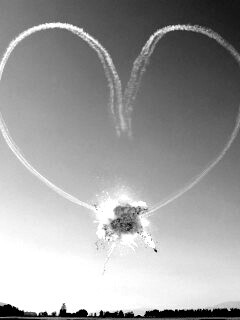 Цветы были бы лучшей идеей обои