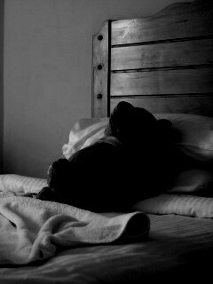 Медвежонок в постели обои