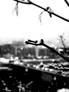 Зима в городе обои