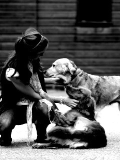 Девушка с собаками обои