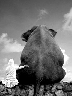 Девочка и слон обои