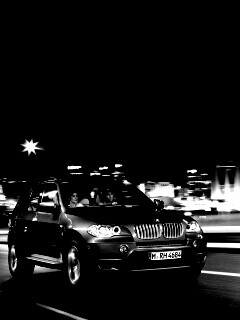Пара в BMW X5 обои