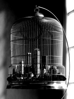 Город в клетке обои