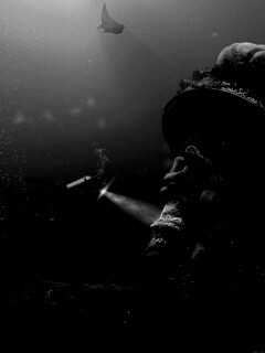 Затопленный Нью-Йорк обои