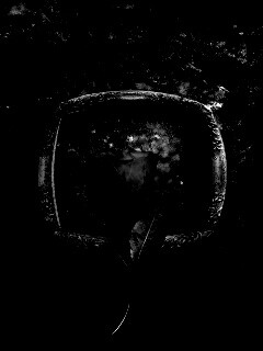 Роза на картинной раме обои