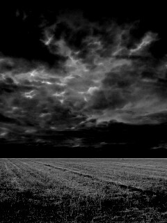 Тучи над желтым полем обои