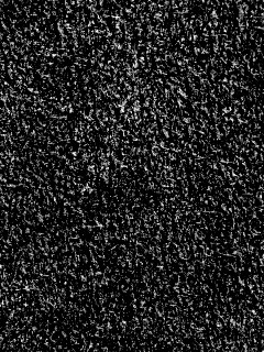 Бордовый ковролин обои