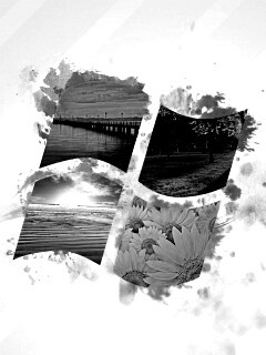 Логотип Winfdows bз фотографий природы обои