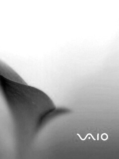 Цветок и логотип Vaio обои