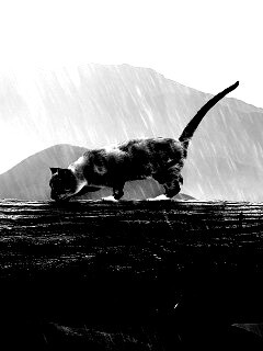 Девушка и кошка обои