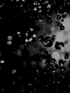 Водяные пузыри обои