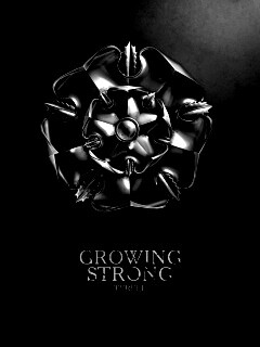 Металлический герб Тиреллов обои