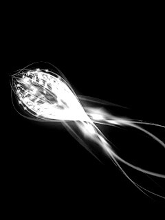 Сгусток красных линий обои