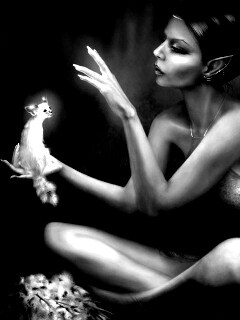 Почет и процветание обои