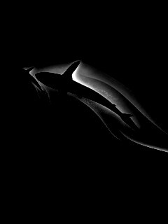 Рыбы в глубине обои